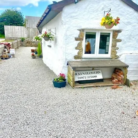 Romantic Log-Burner Cornish Cottage Private Garden Dogs Welcome Truro Exterior photo